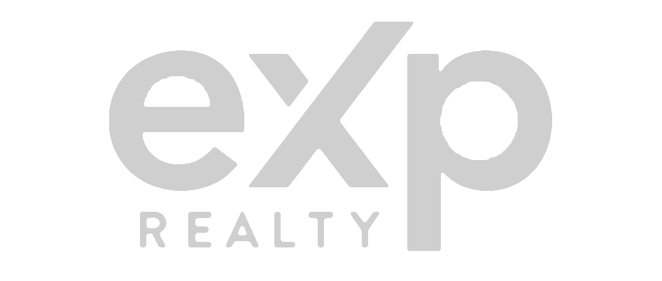 firm_exp